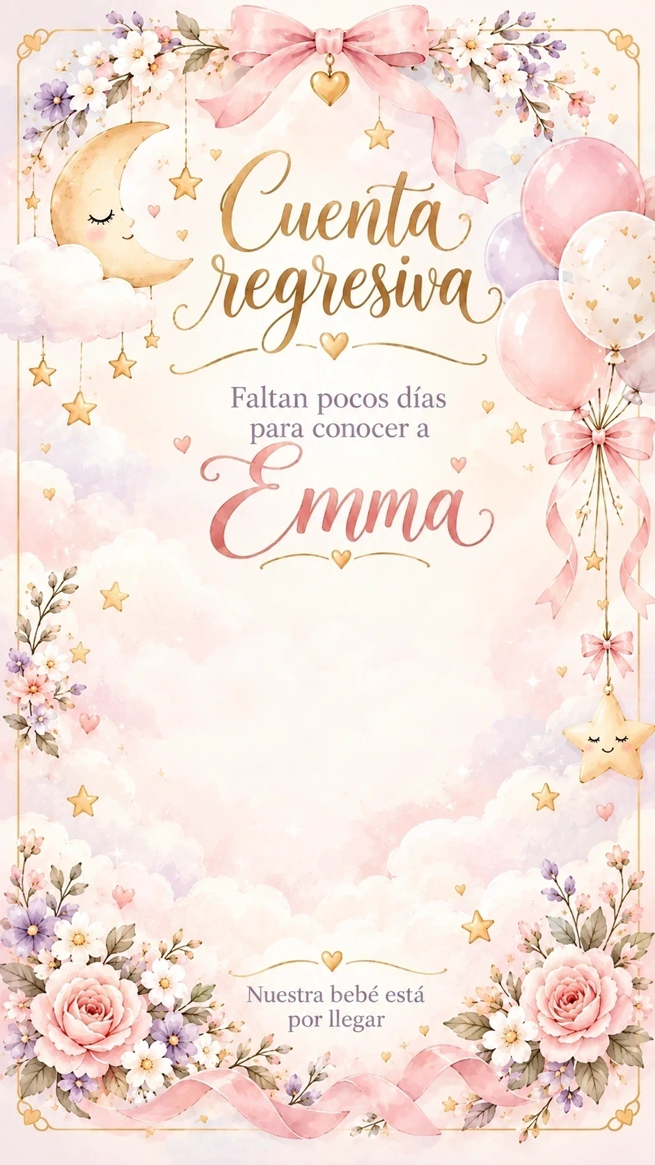 Diseño del contador de Emma